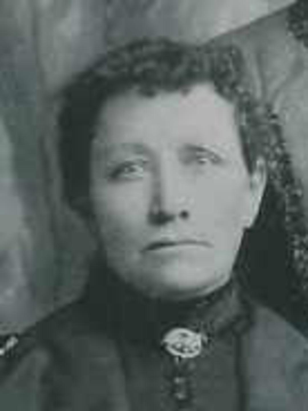 Sarah Phylinda Thomas (1849 - 1933) Profile